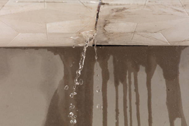 Professional Water Damage Inspection technician working in Kittery Point, ME